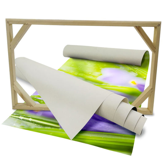 Fiori della Sorgente del Croco - Quadro Canvas su telaio in legno Misura: 100x70 cm