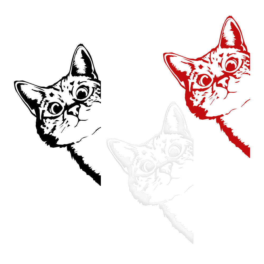 GATTO CURIOSO - Adesivo murale wall sticker in vinile 55x90 cm Colore: Rosso