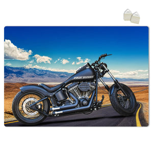 HARLEY - POSTER in PVC da 3mm Misura: 70x100 cm