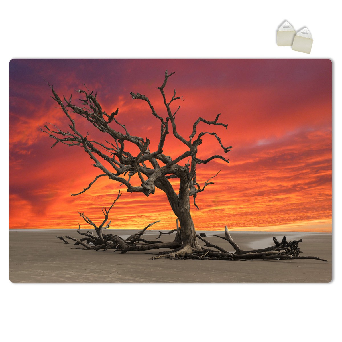 INARIDITO - POSTER in PVC da 3mm Misura: 70x100 cm