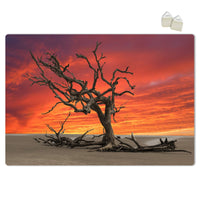 INARIDITO - POSTER in PVC da 3mm Misura: 70x100 cm