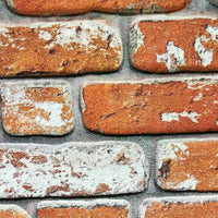 MATTONCINO CLASSIC pannello finto mattone in EPS Resinato Misura 100x50 Cm spessore 2 cm