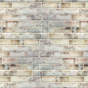 MURALES Pannello finto mattone in EPS Resinato finitura ruvida Misura 100x50 Cm spessore 2 cm