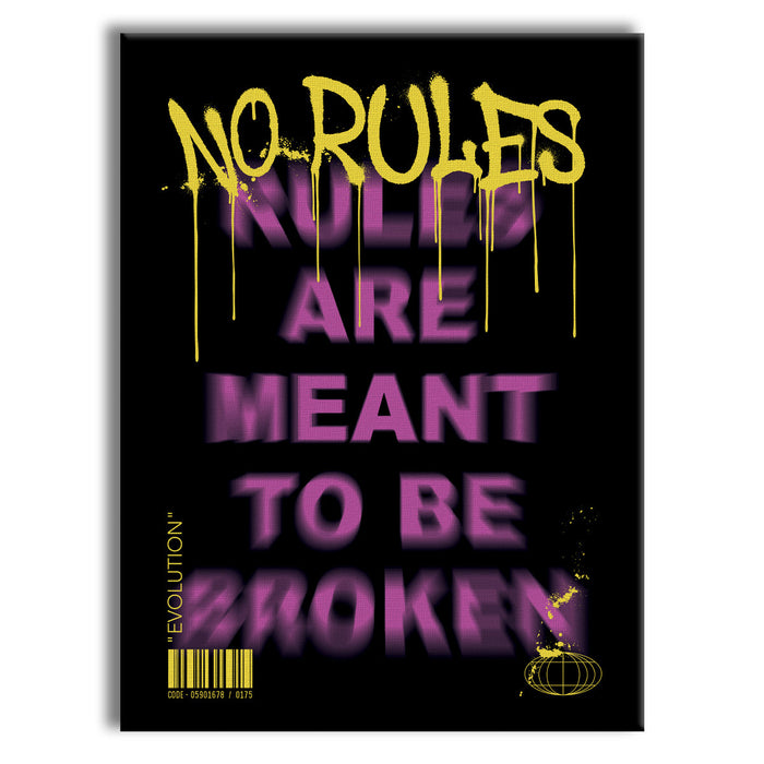 NoRules -  Quadro Canvas Contemporaneo su telaio in legno Misura: 70x100 cm