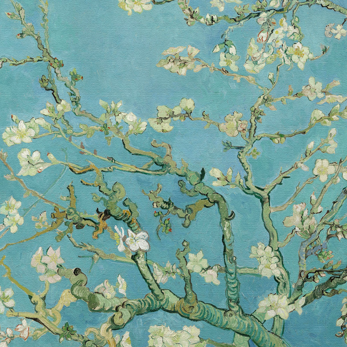 Ramo di Mandorlo - Vincent Van Gogh - Quadro Canvas stampata su telaio in legno Misura: 100x70 cm