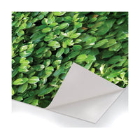 Siepe - Pellicola stampata adesiva in PVC finitura opaca Misura: 100x200 cm