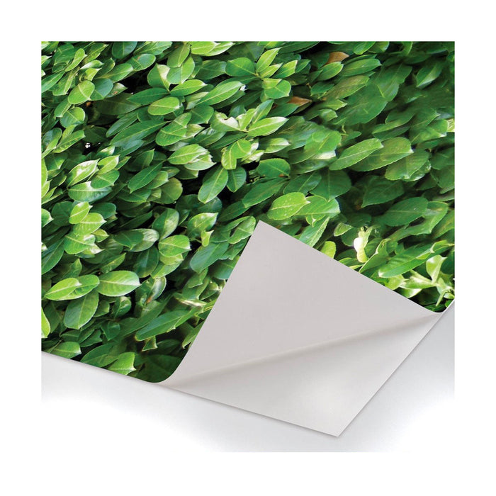 Siepe - Pellicola stampata adesiva in PVC finitura opaca Misura: 100x200 cm