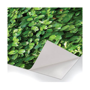 Siepe - Pellicola stampata adesiva in PVC finitura opaca Misura: 100x300 cm