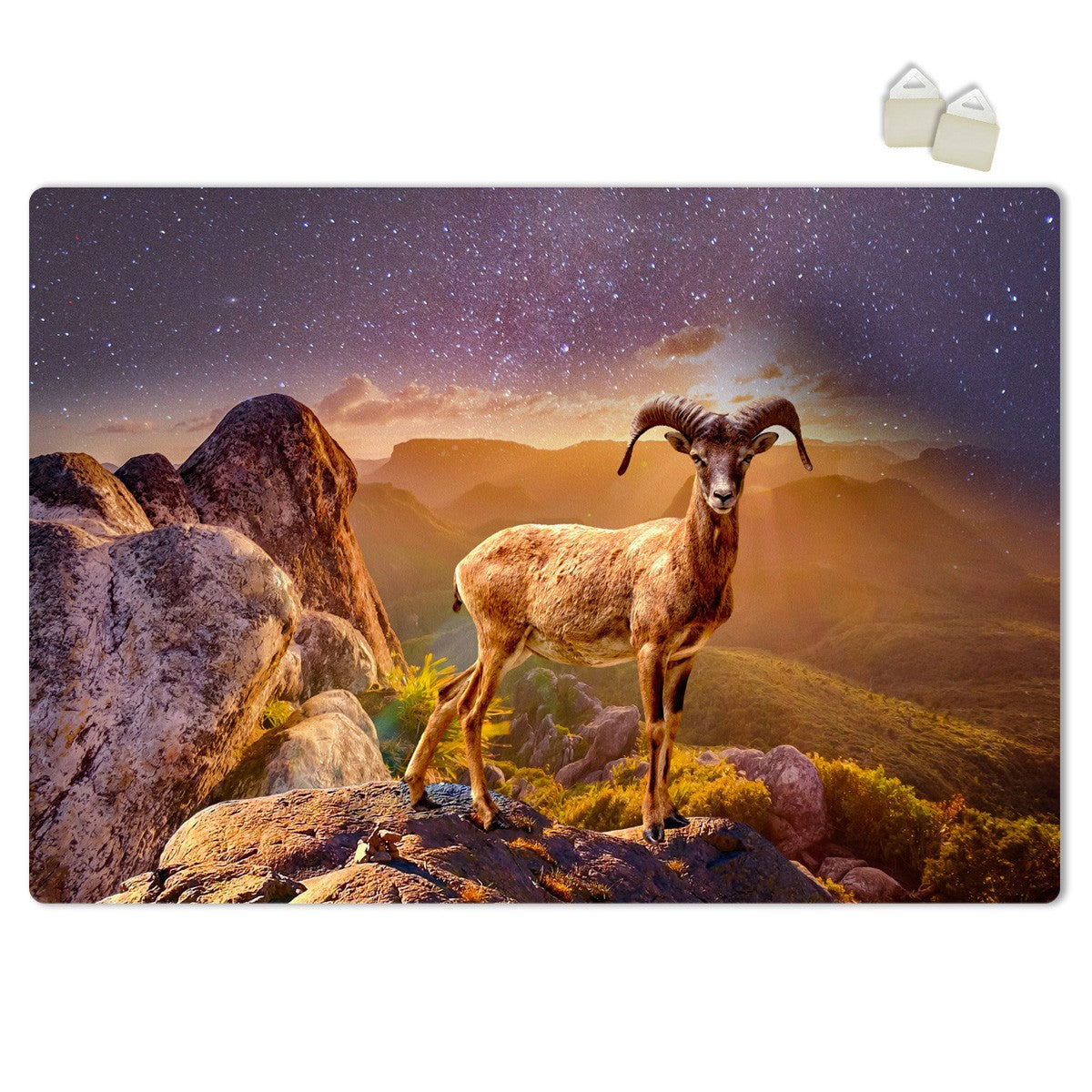 STAMBECCO - POSTER in PVC da 3mm Misura: 70x100 cm