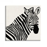 ZEBRA ds - Stampa su tela Canvas montata su telaio in legno Misura: 80x80 cm