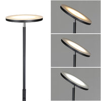 Lampada Piantana Led Dimmerabile 20W 1600LM Telecomando e Luce Regolabile H175cm