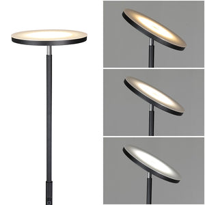 Lampada Piantana Led Dimmerabile 20W 1600LM Telecomando e Luce Regolabile H175cm