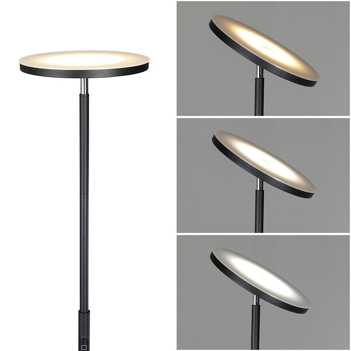 Lampada Piantana Led Dimmerabile 20W 1600LM Telecomando e Luce Regolabile H175cm