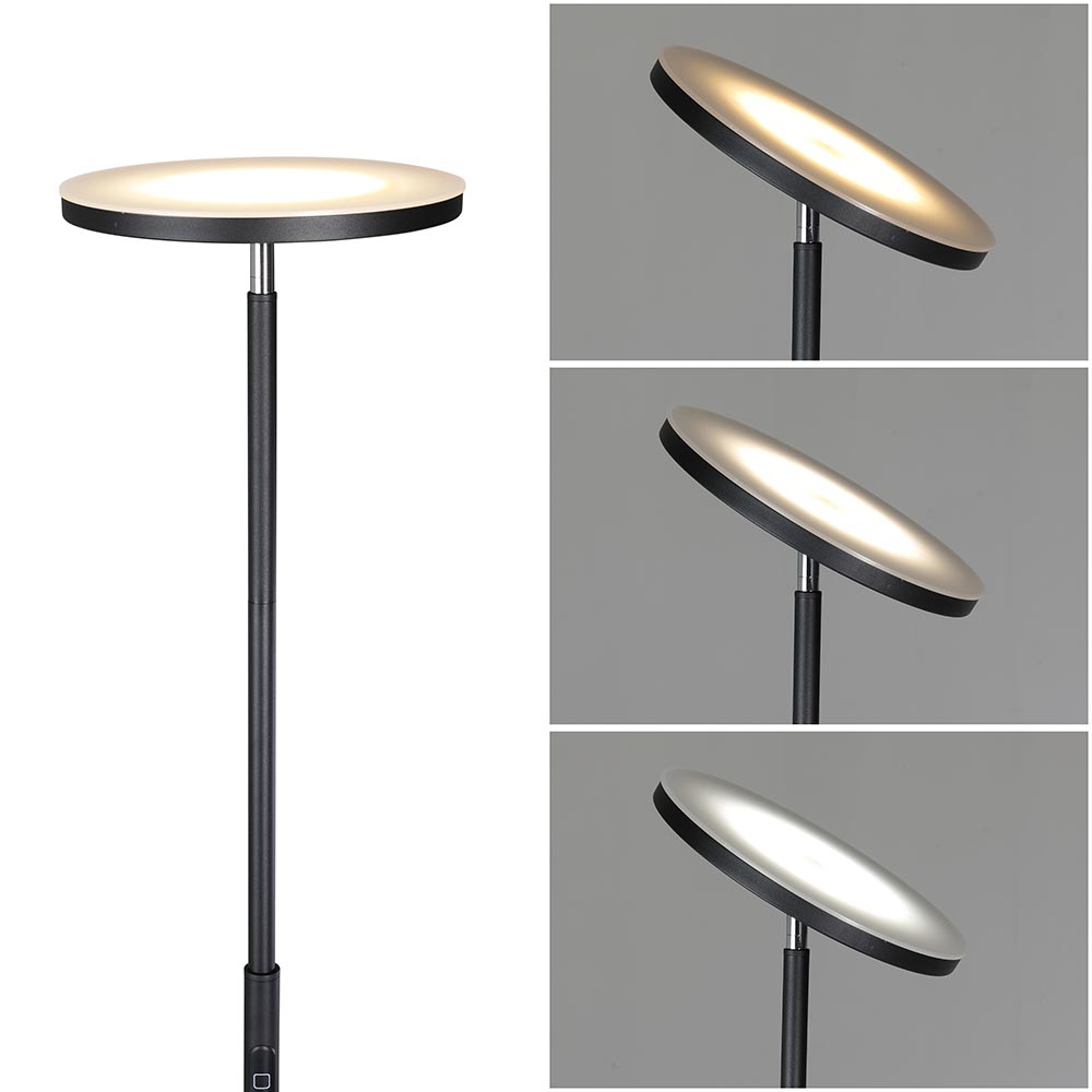 Lampada Piantana Led Dimmerabile 30W 2500LM Telecomando e Luce Regolabile H175cm