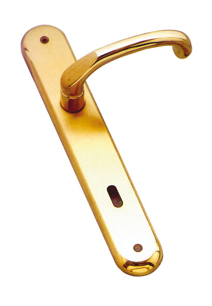 maniglia giada con placca foro patent cod:ferx.vit11056