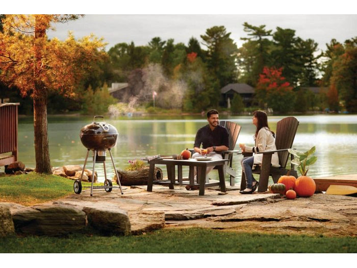 Barbecue a carbone Kettle Napoleon NK22CK-L griglia inox 57cm