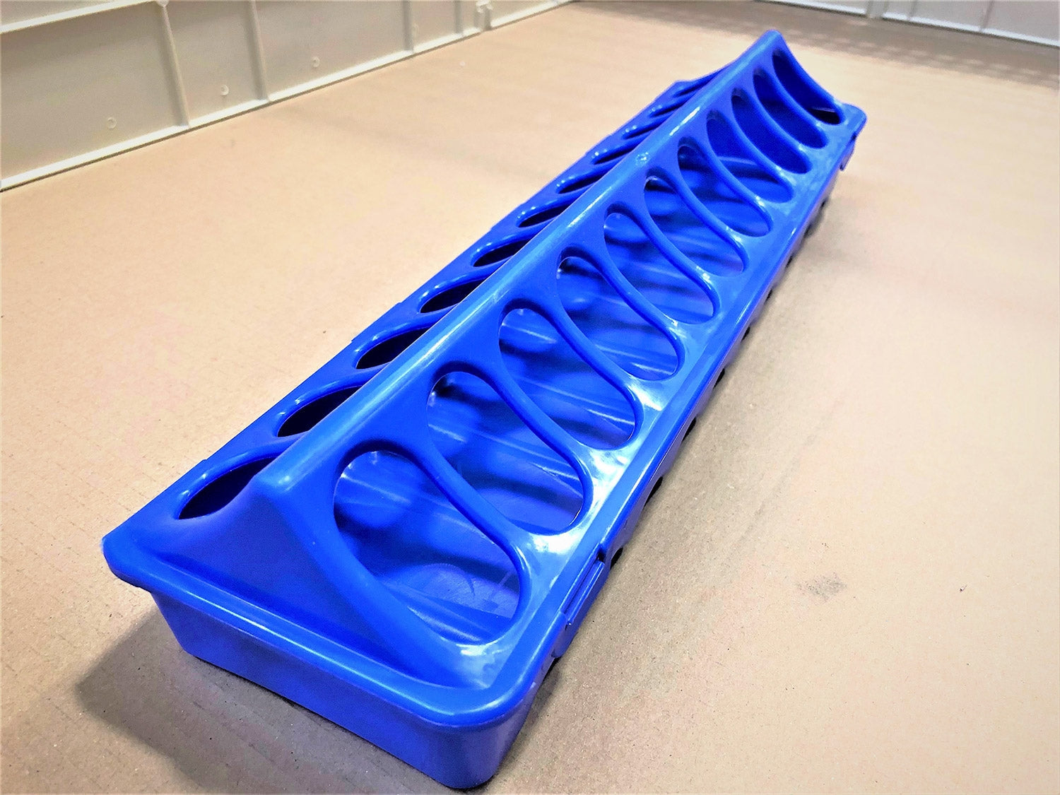 Recinto Svezzamento per 40 Pulcini + Accessori Borotto