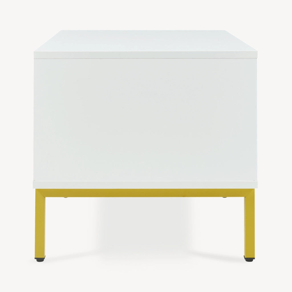 Tavolino Centrale da Salotto Reyri Tavolo Basso con Scomparti e Anta 80x45x42 cm Bianco / color Oro [en.casa]