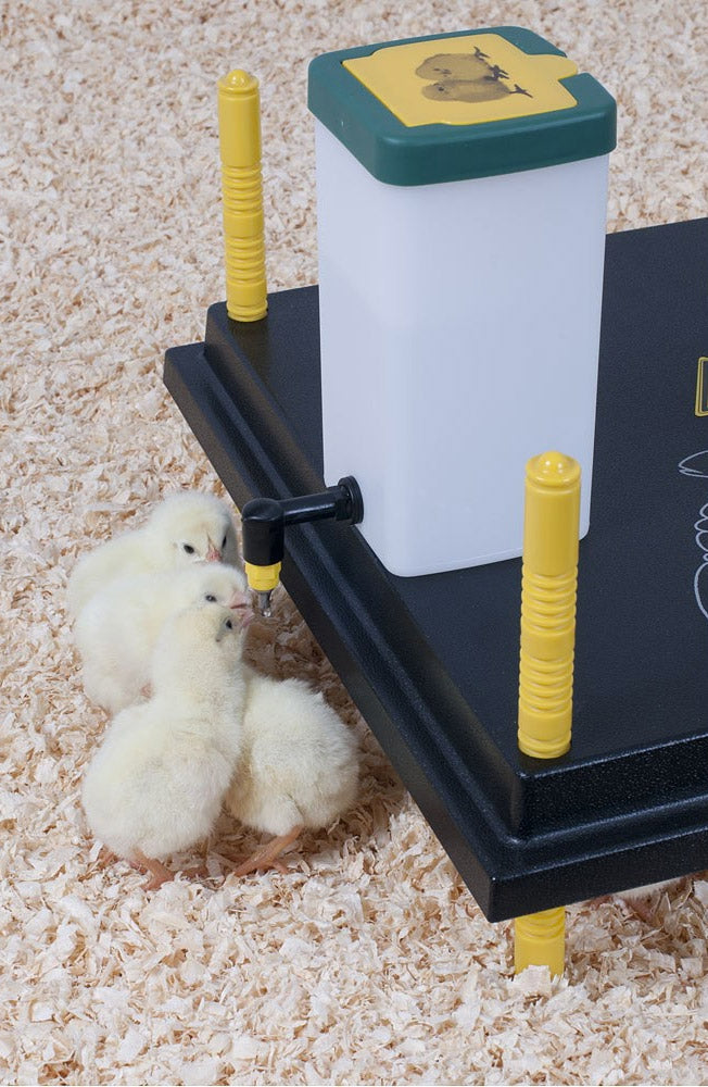 Recinto Svezzamento per 40 Pulcini + Accessori Borotto