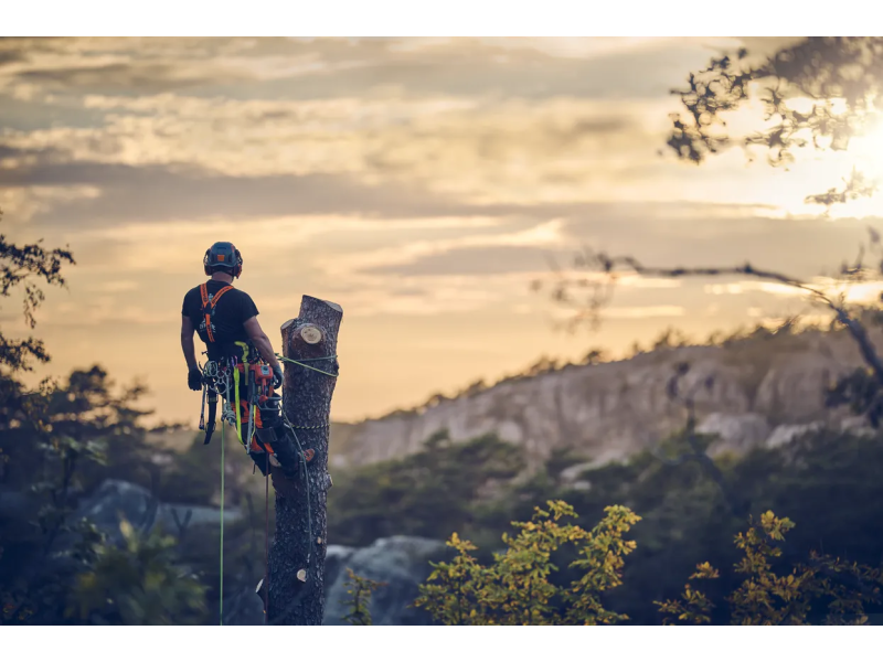 Husqvarna T540 XP Mark III: La Motosega per Potatura Professionale al Top