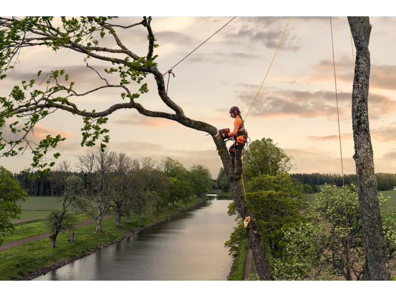Husqvarna T540 XP Mark III: La Motosega per Potatura Professionale al Top