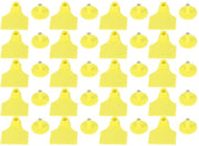 Etichette di Identificazione per Animali - 20 Stuks - Identificazione di Vache/Asino/Allevamento - Prodotti per la Fattoria - Colore Vivido - Resistente allo Shock - Identificazione di Animali
