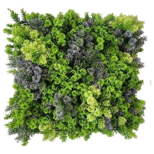 Pannelli Piante Artificiali da Parete 3D – Siepe Sintetica Verde Effetto Naturale per Interno Esterno LICHENE 50X50 CM