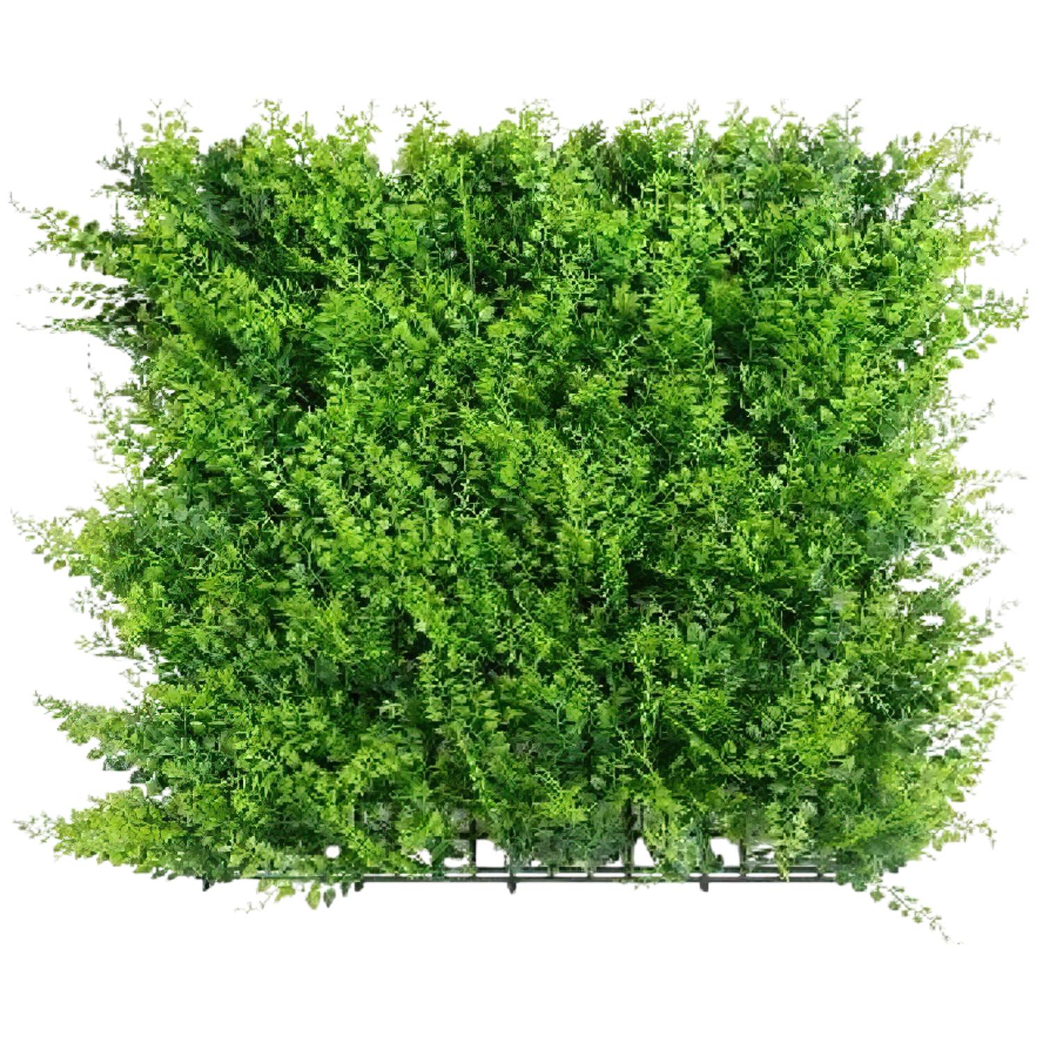 Pannelli Piante Artificiali da Parete 3D – Siepe Sintetica Verde Effetto Naturale per Interno Esterno,  FELCE 50X50 CM