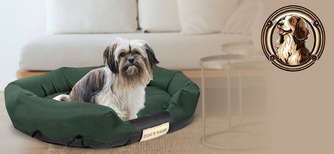 AIO FACTORY Cuccia per cani 75x50 cm personalizzabile impermeabile verde