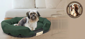 AIO FACTORY Cuccia per cani 75x50 cm personalizzabile impermeabile verde