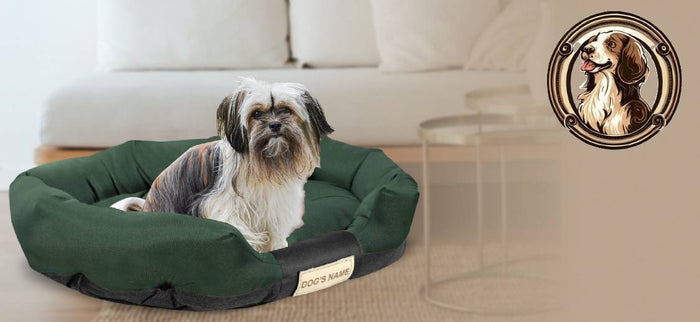 AIO FACTORY Cuccia per cani 75x50 cm personalizzabile impermeabile verde