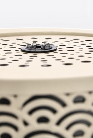 Fontana da Giardino Acciaio Beige Moderna da Esterno - BLOSSOM