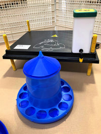 Recinto Svezzamento per 50 Pulcini + Accessori Borotto