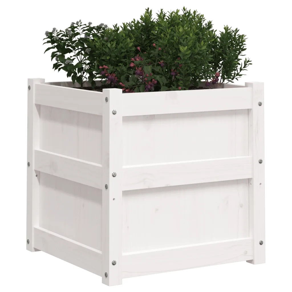Fioriera da Giardino Bianca 50x50x50 cm Legno Massello di Pino 837416