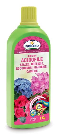 CONCIME PER PIANTE ACIDOFILE OTTIMA CRESCITA FIORI VIVACI E PIÙ FORTI BASTA UN TAPPO IN 2 LT D'ACQUA 1KG