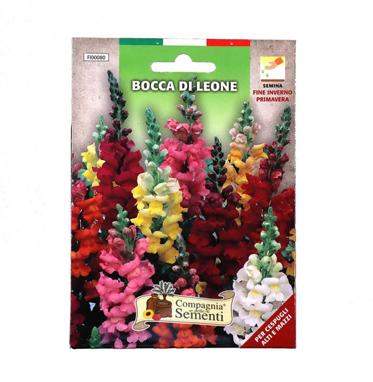 BUSTA SEMENTI FIORI BOCCA DI LEONE SEMINA FINE INVERNO/PRIMAVERA BUSTINA INTERNA SALVA SEMI