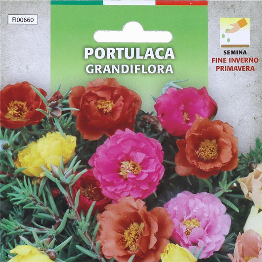 BUSTA DI SEMENTI FIORI PORTULACA GRANDIFLORA SEMINA FINE INVERNO/PRIMAVERA BUSTINA INTERNA SALVA SEME