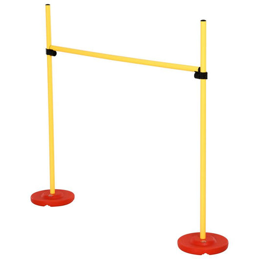 SET AGILITY DOG CON PALETTI ED ANELLO REGOLABILE PER ADDESTRAMENTO CANI