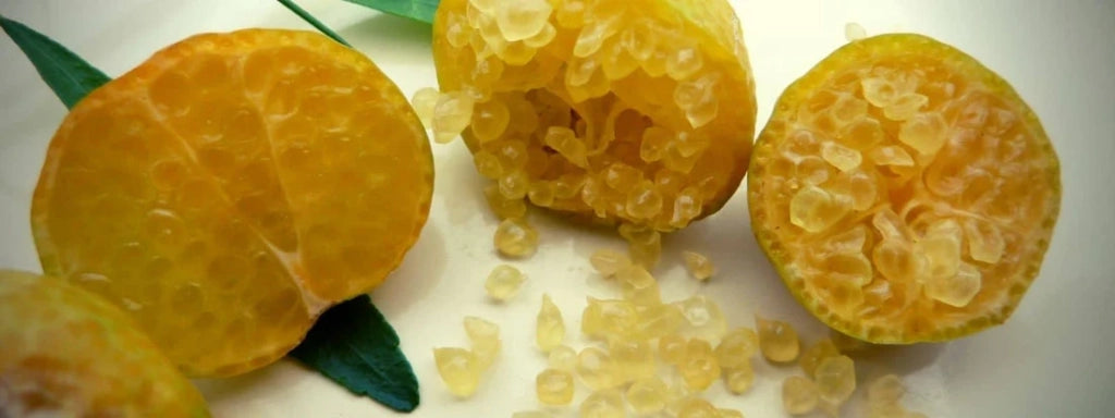 LIMONE CAVIALE Ovale Eremorange (Citrus glauca x Citrus sinensis) FOTO REALI