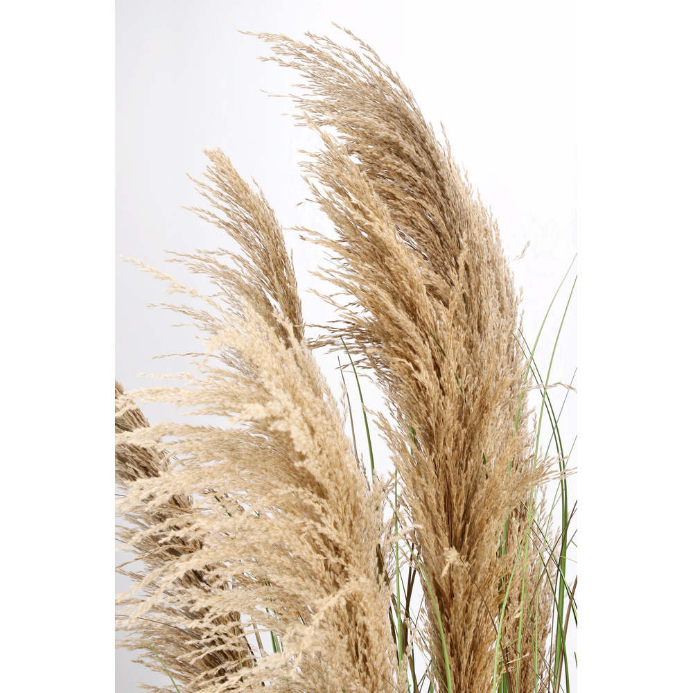 Pianta Decorativa Artificiale H 170 cm Austorderia Bizzotto