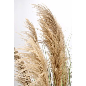 Pianta Decorativa Artificiale H 170 cm Austorderia Bizzotto