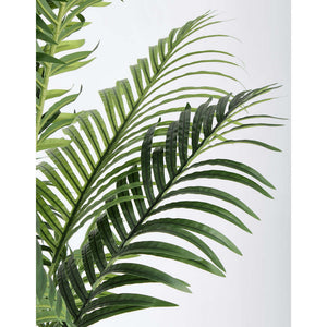 Pianta Decorativa Artificiale H 160 cm Kenzia Bizzotto