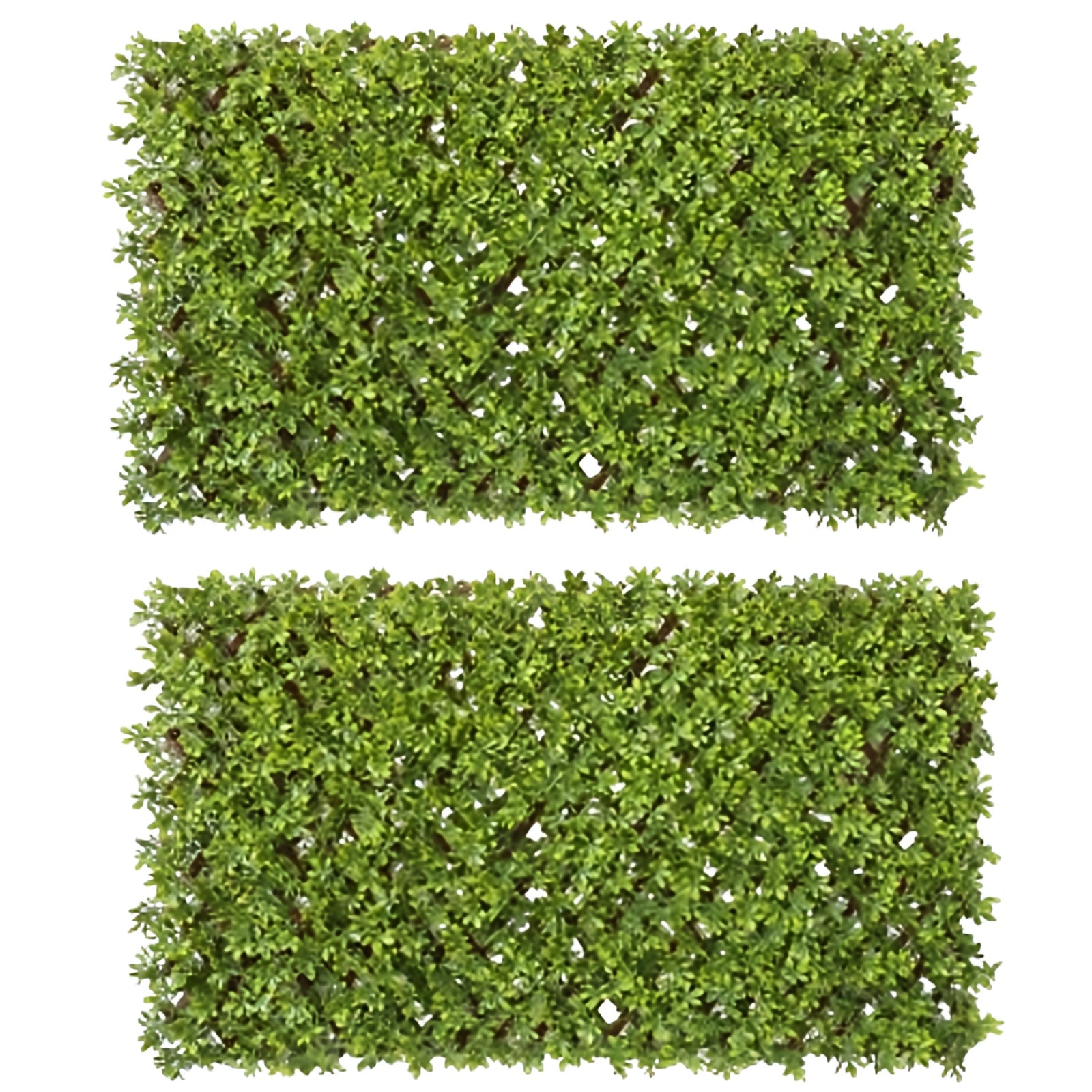 Siepe Artificiale 100x200 cm in Bosso - 2 Pezzi con Steccato Estensibile