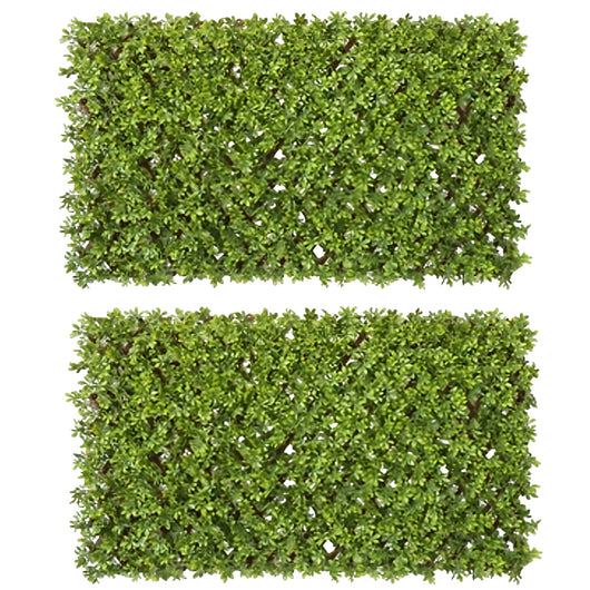 Siepe Artificiale 100x200 cm in Bosso - 2 Pezzi con Steccato Estensibile