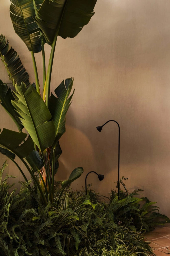 LILY 300 Lampada pichetto nero