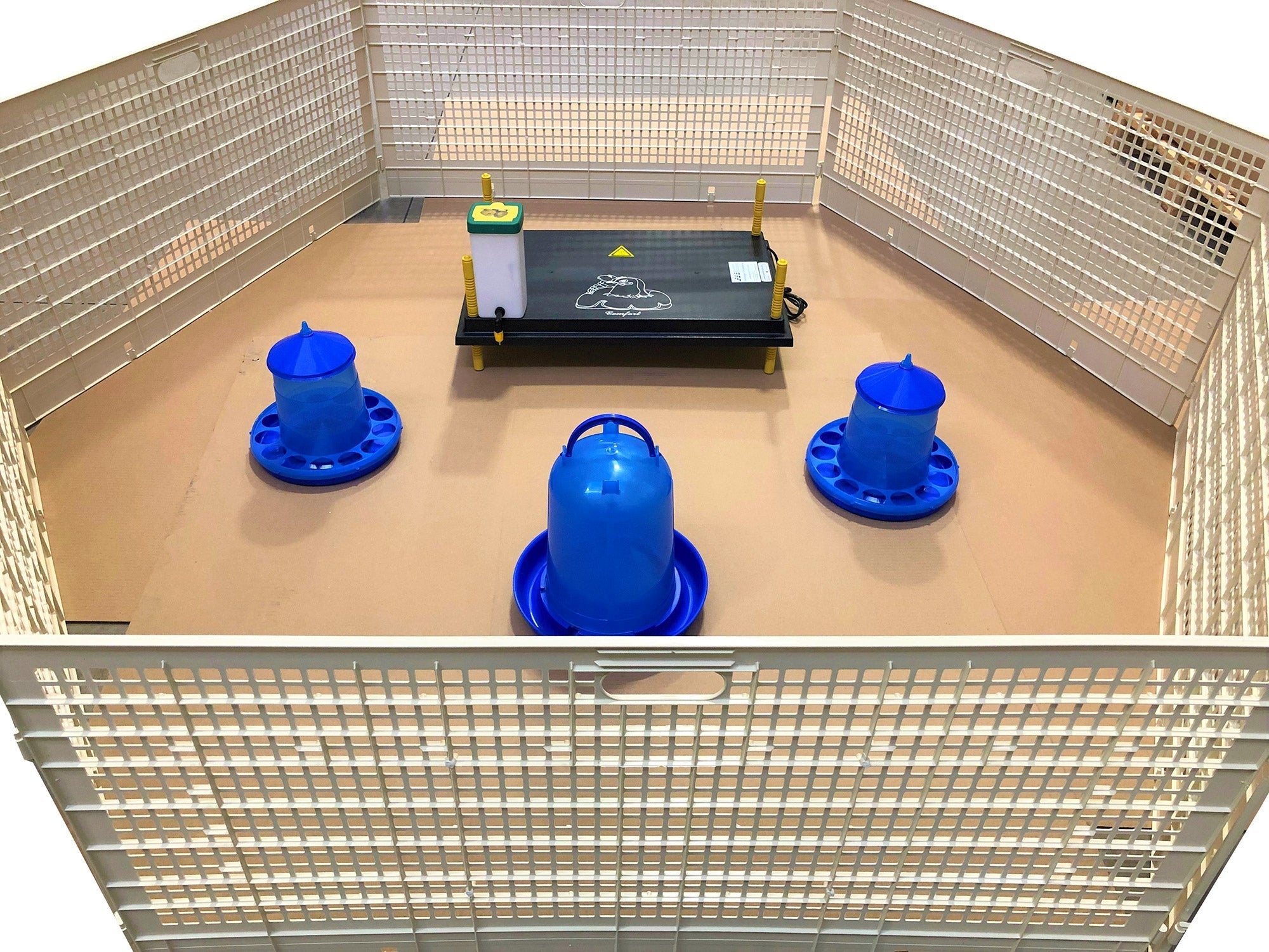 Recinto Svezzamento per 60 Pulcini + Accessori Borotto