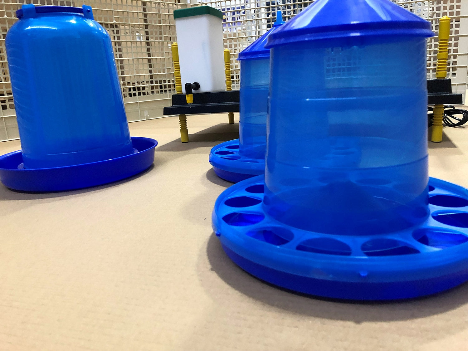 Recinto Svezzamento per 60 Pulcini + Accessori Borotto