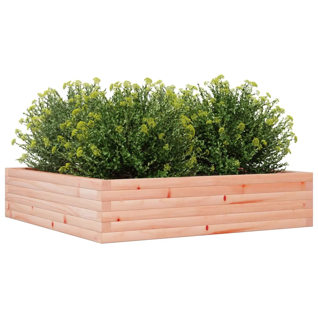 Fioriera da Giardino 100x100x23 cm Legno Massello di Douglas 847211
