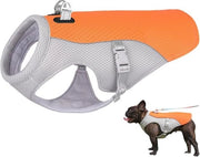 Vestone per cani per l'estate, giacca per cani rinfrescante, vestone rinfrescante per cani, giacca rinfrescante per cani durante l'estrazione, giacca rinfrescante per cani (XXL, arancione)