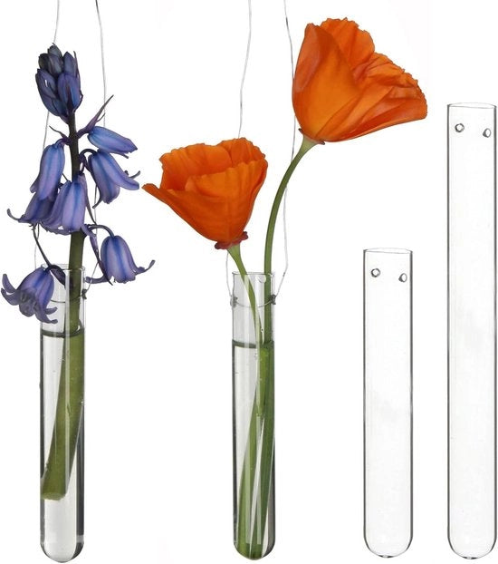 Set di 12 flaconcini di reazione in vetro con fori di appoggio - Diametro 1,5 cm altezza 10 cm.